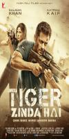 Tiger Zinda Hai (2017)     