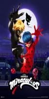 Miraculous: Tales of Ladybug & Cat Noir – A Christmas Special (2016) 