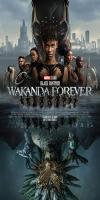 Black Panther: Wakanda Forever (2022)  