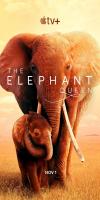 The Elephant Queen (2019) 