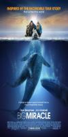 Big Miracle (2012) 