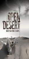 Open Desert (2013)  