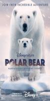 Polar Bear (2022)  